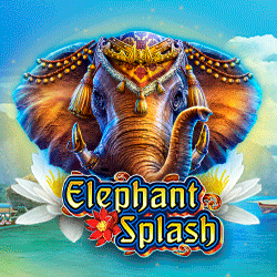Elephant Splash