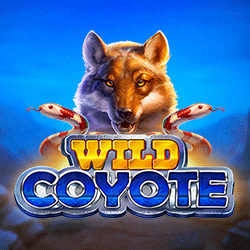 Wild Coyote