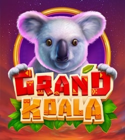 Grand Koala Hold'n'Link