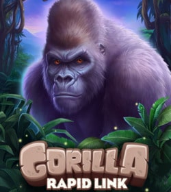 Gorilla: Rapid Link