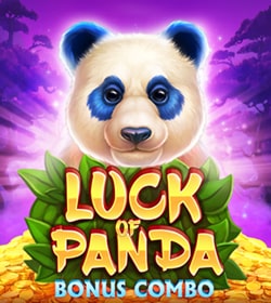 Luck of Panda: Bonus Combo