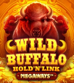 Wild Buffalo Megaways: Hold N Link
