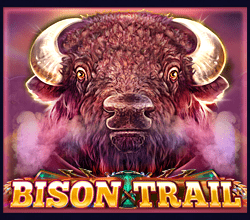 Bison Trail