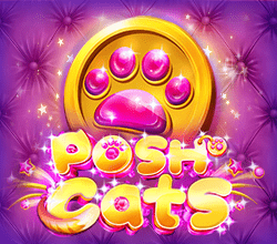 Posh Cats